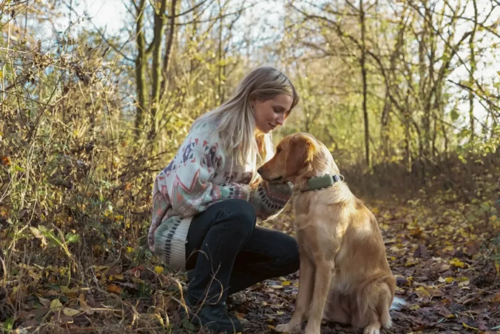 what-does-finding-a-lost-dog-mean-spiritually
