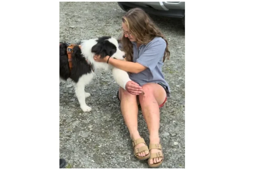 what-the-condition-of-the-dog-reveals-spiritually