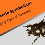black-beetle-symbolism