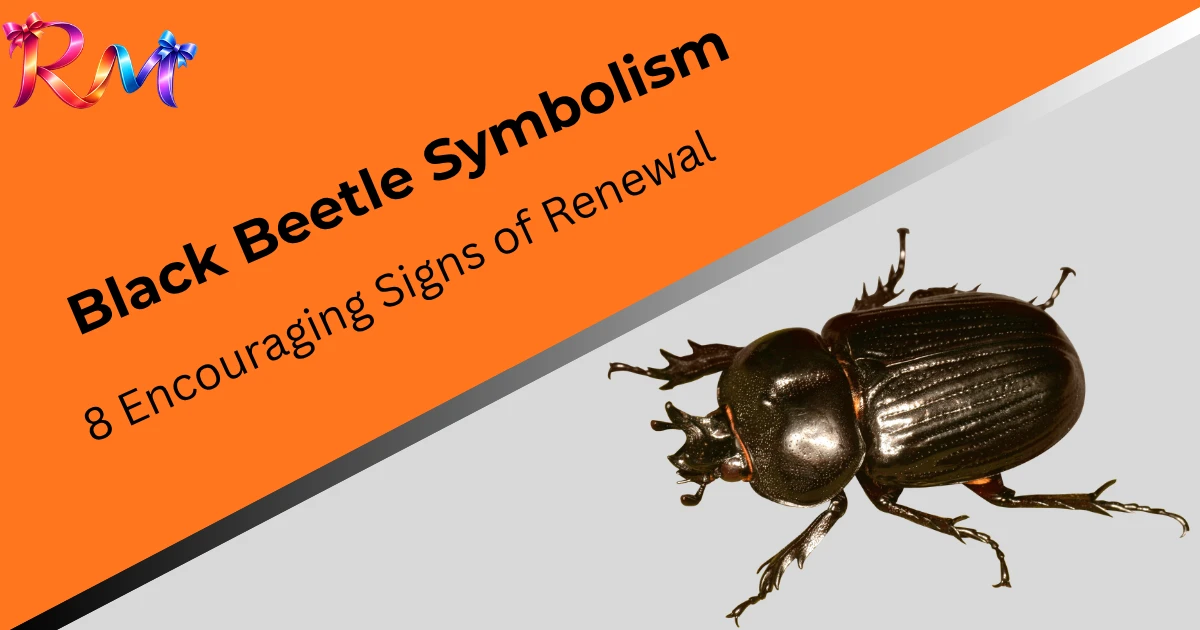 black-beetle-symbolism