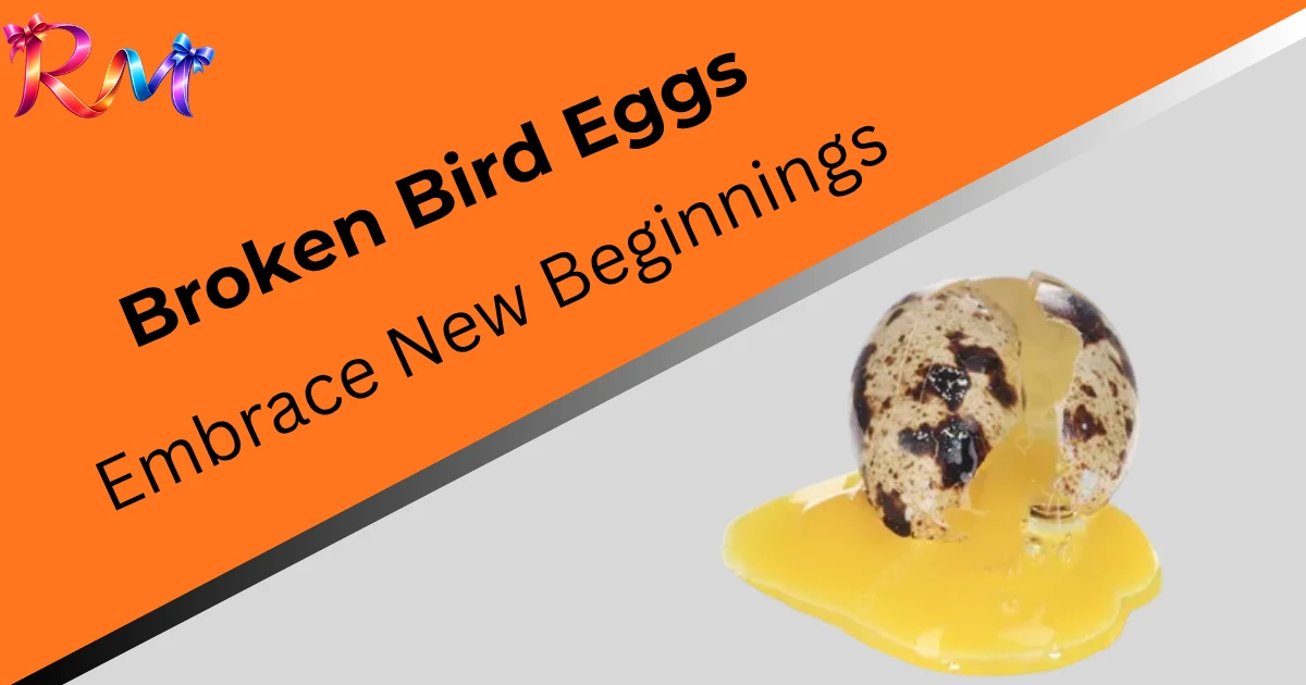 broken-bird-eggs