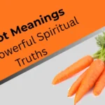 carrot-meanings