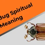 june-bug-spiritual-meaning