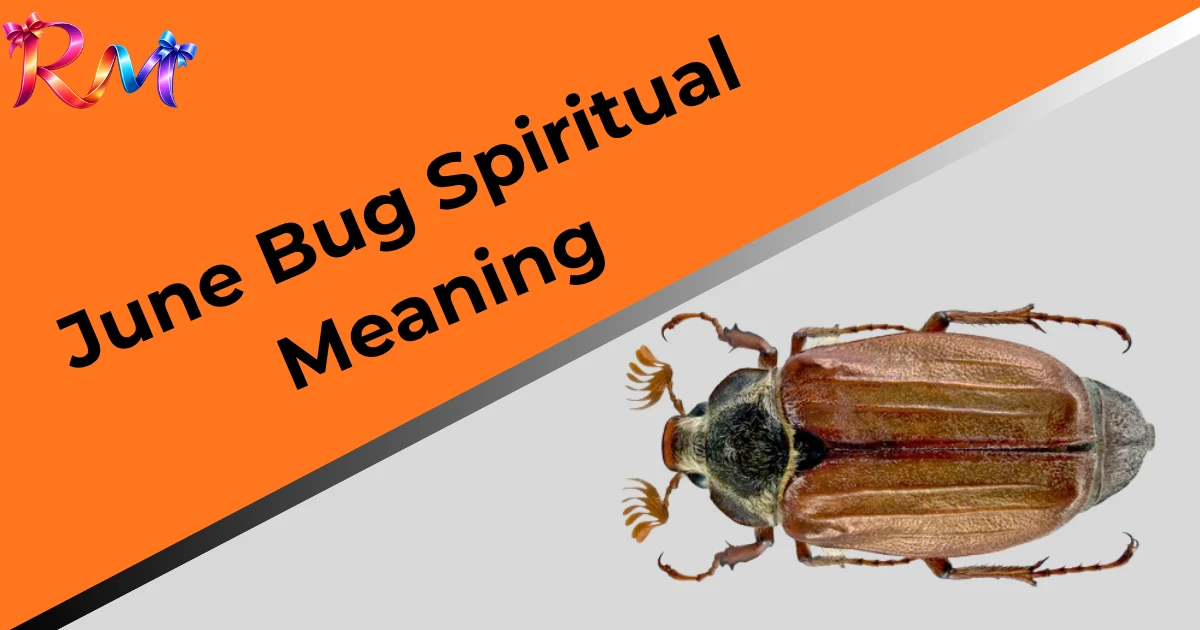 june-bug-spiritual-meaning