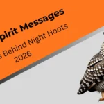 owl-spirit-messages