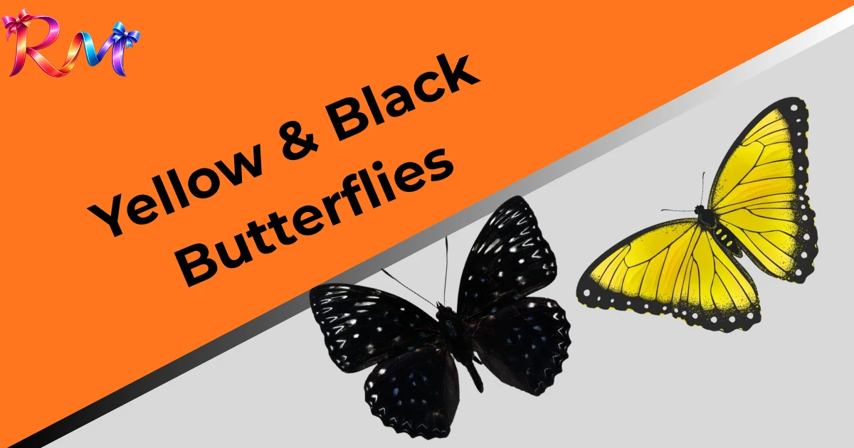 yellow-black-butterflies