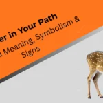 a-deer-in-your-path-spiritual-meaning