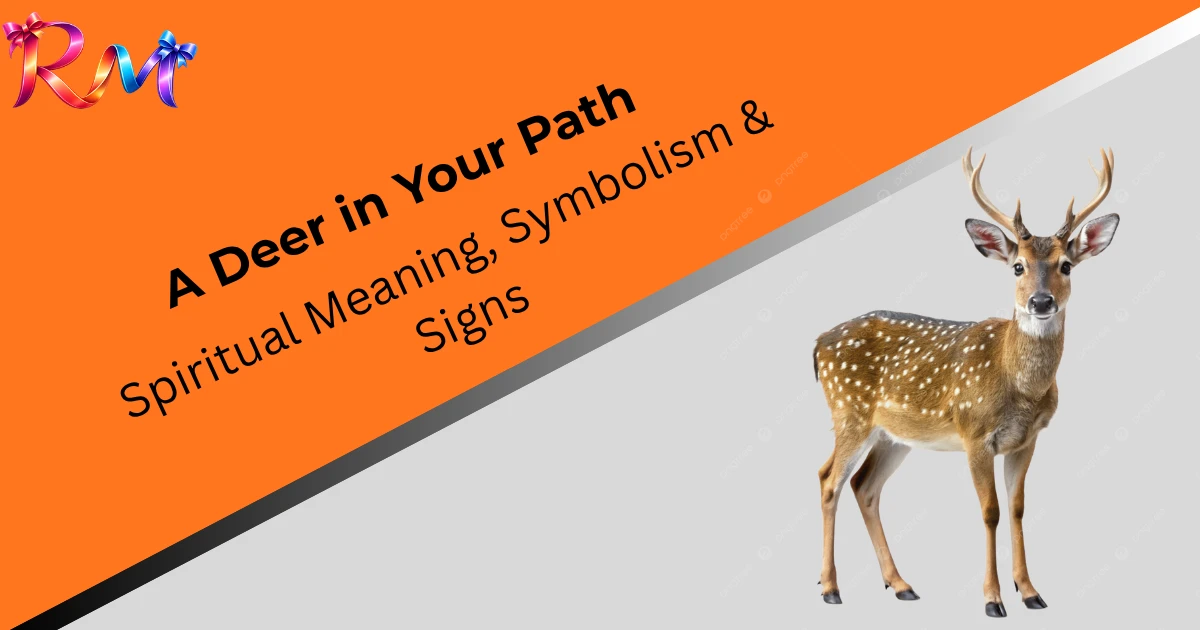 a-deer-in-your-path-spiritual-meaning