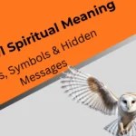 barn-owl-spiritual-meaning