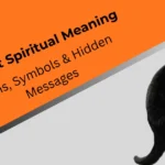 black-cat-spiritual-meaning