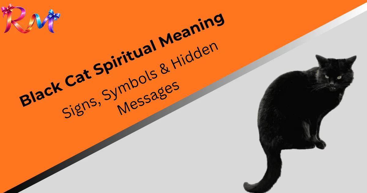 black-cat-spiritual-meaning