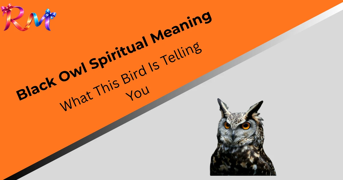 black-owl-spiritual-meaning