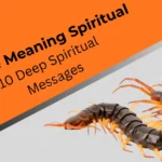 centipede-meaning-spiritual