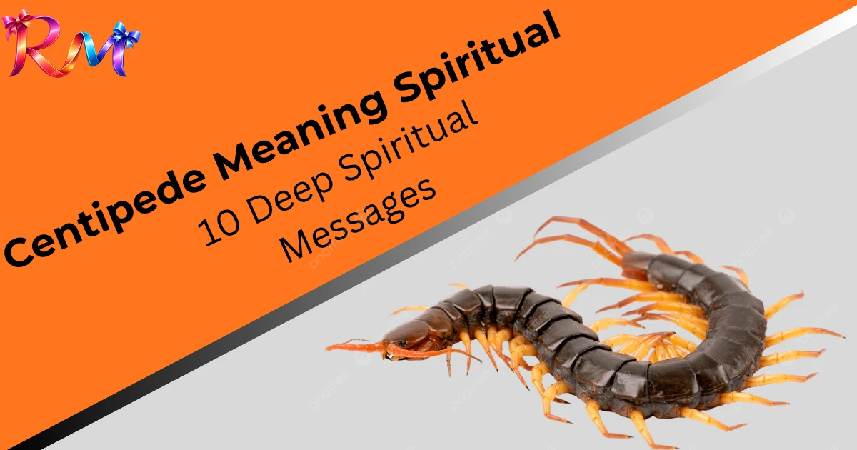 centipede-meaning-spiritual