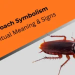 cockroach-symbolism-spiritual-meaning-signs