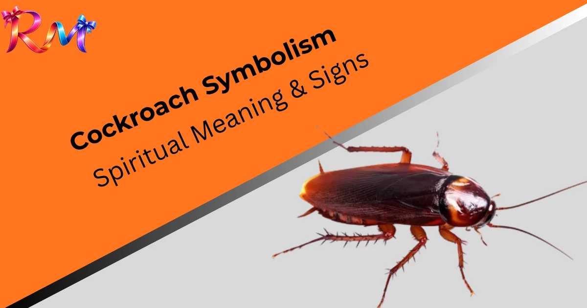 cockroach-symbolism-spiritual-meaning-signs