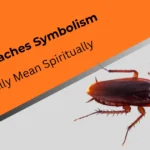 cockroaches-symbolism