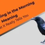 crows-cawing-in-the-morning-meaning