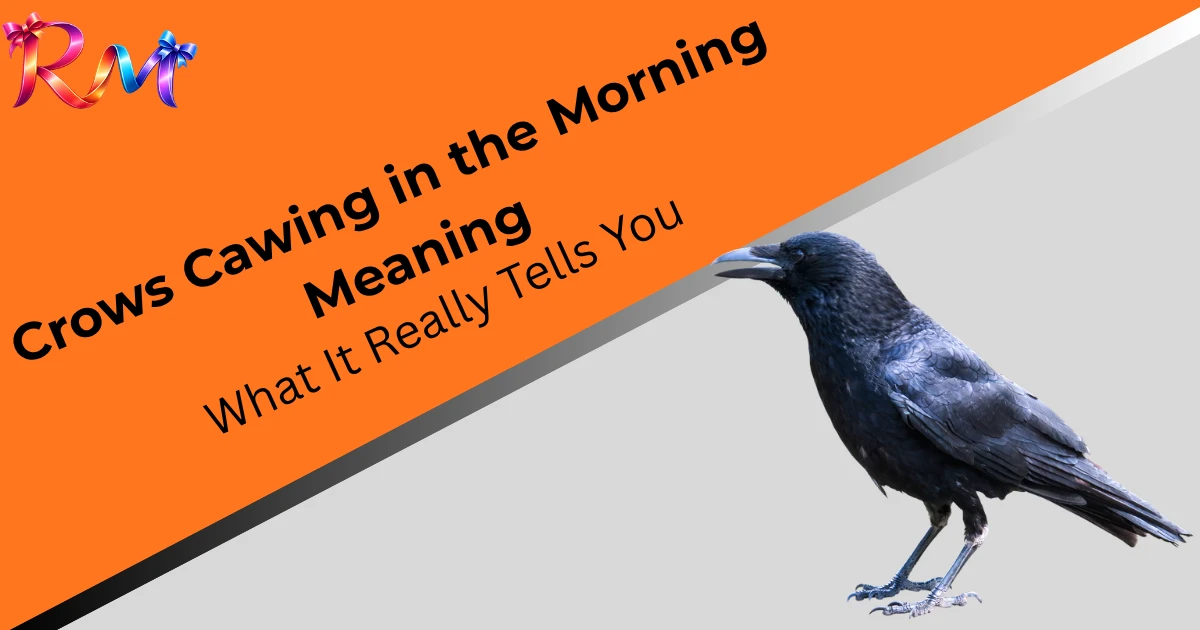 crows-cawing-in-the-morning-meaning
