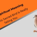 dove-spiritual-meaning