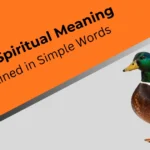 duck-spiritual-meaning