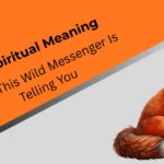 fox-spiritual-meaning