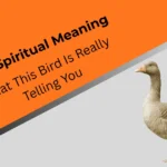 goose-spiritual-meaning