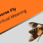 horse-fly-spiritual-meaning