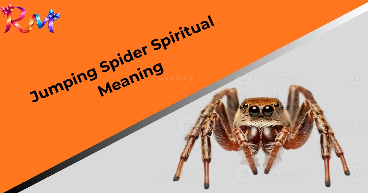 jumping-spider-spiritual-meaning