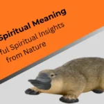 platypus-spiritual-meaning
