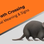 rat-path-crossing-spiritual-meaning-signs