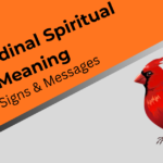 red-cardinal-spiritual-meanings