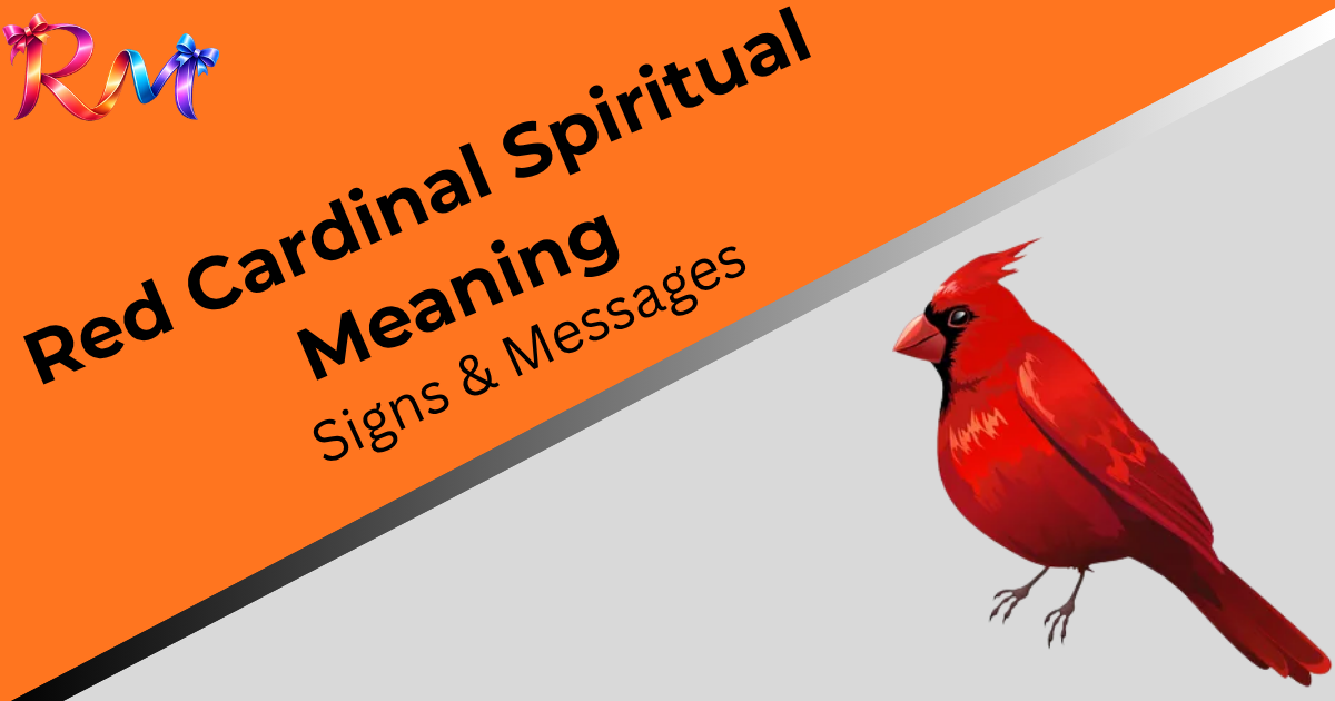 red-cardinal-spiritual-meanings