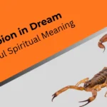 scorpion-in-dream-spiritual-meaning