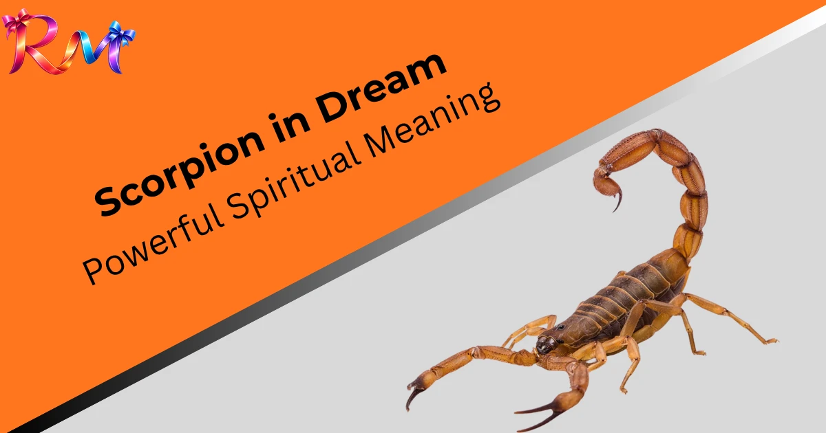 scorpion-in-dream-spiritual-meaning