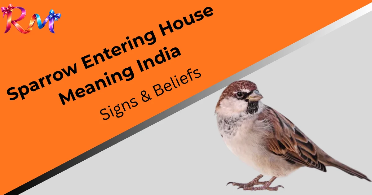 sparrow-entering-house-meaning-india