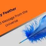 spiritual-meaning-of-blue-jay-feather
