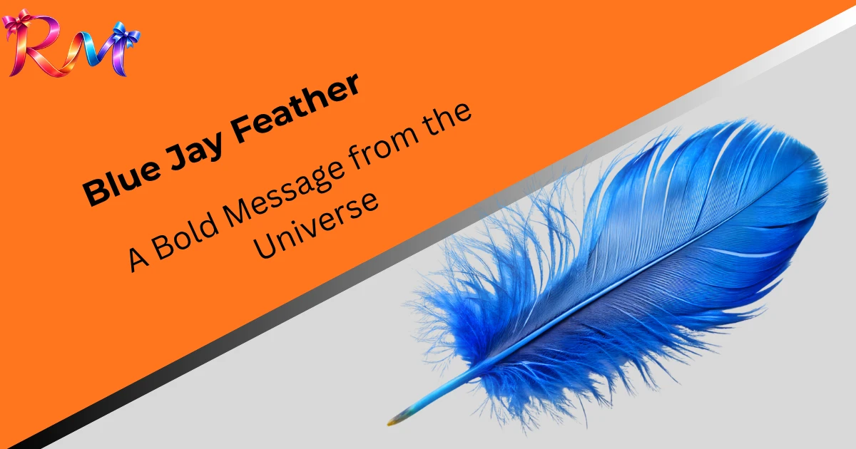 spiritual-meaning-of-blue-jay-feather