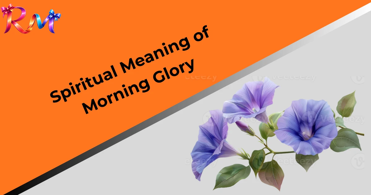 spiritual-meaning-of-morning-glorys