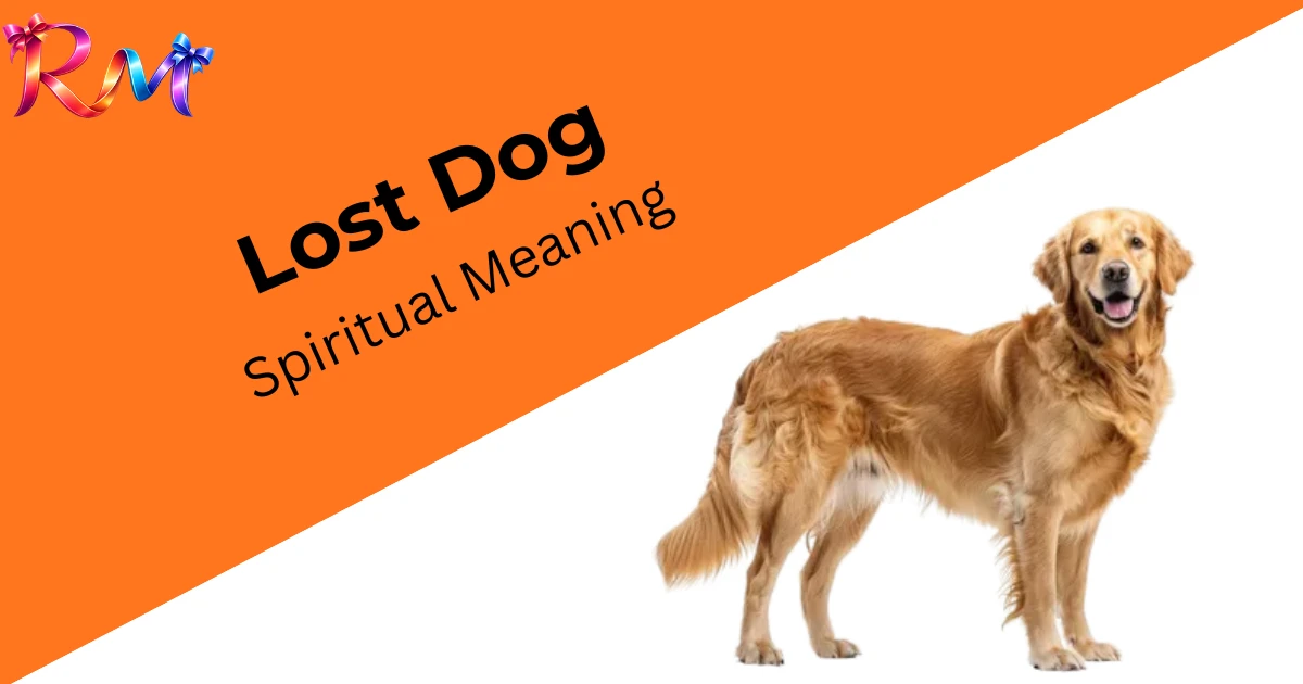 spiritual-meanings-of-finding-a-lost-dog