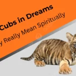 tiger-cubs-in-dreams-what-they-really-mean-spiritually