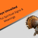 turkeys-unveiled-spiritual-signs-meanings