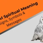 white-owl-spiritual-meaning
