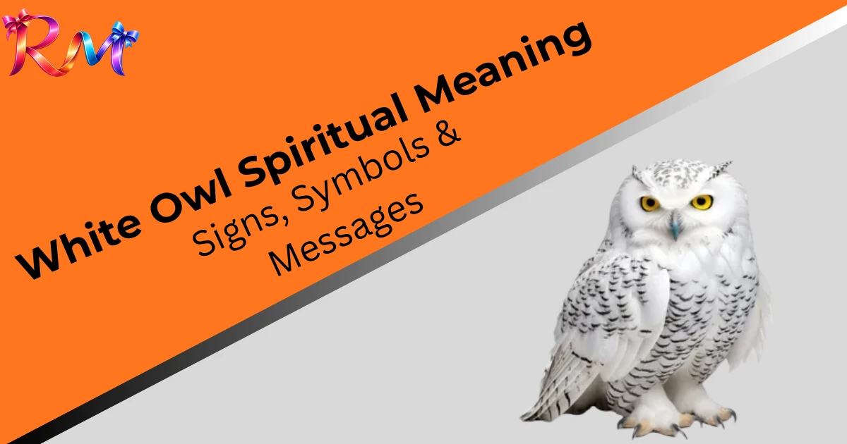 white-owl-spiritual-meaning